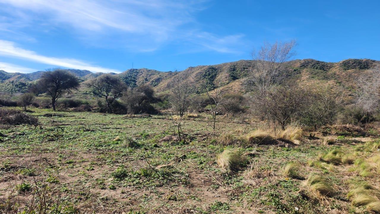 Foto de Lotes a la venta en Comuna De San Roque. (L443), imagen 5