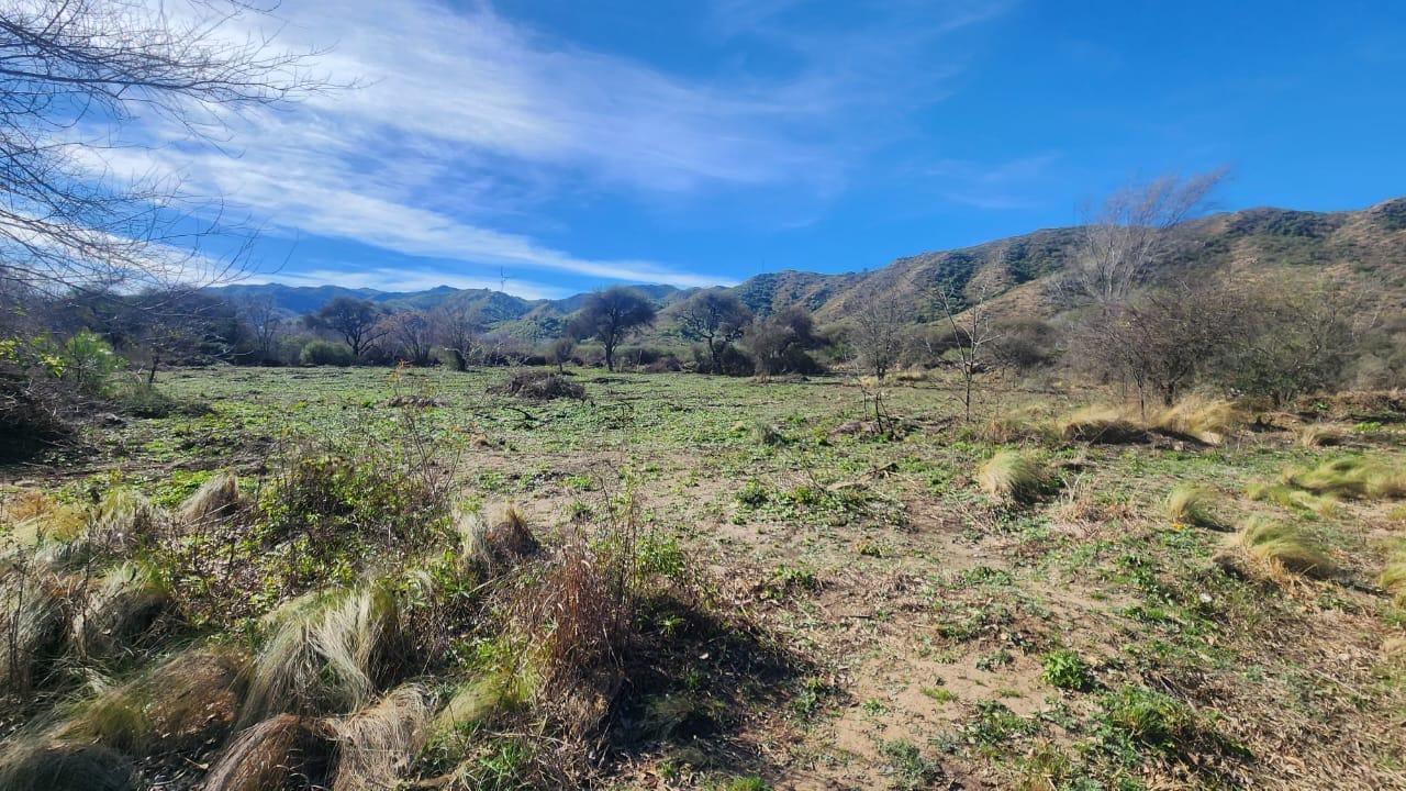Foto de Lotes a la venta en Comuna De San Roque. (L443), imagen 1