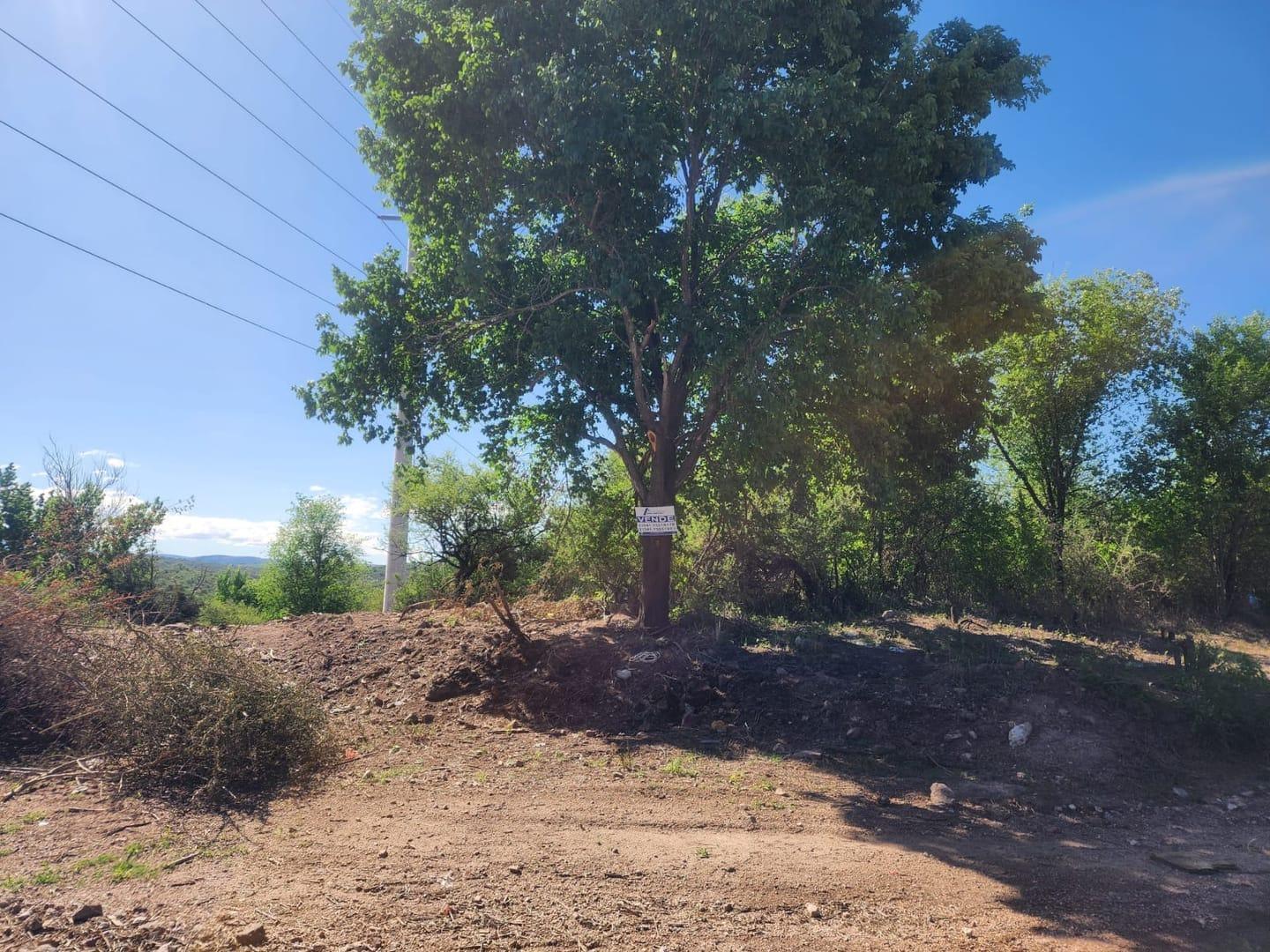 Foto de Lotes a la venta en Bialet Massé. (L445), imagen 3