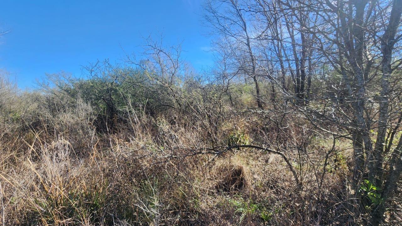 Foto de Lotes a la venta en Comuna De San Roque. (L448), imagen 5