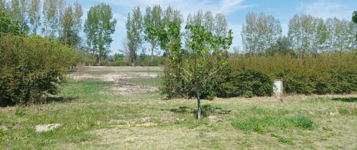 Gold Group Argentina Vende Estupendo Lote / Ejército de Los Andes Al 6500 3