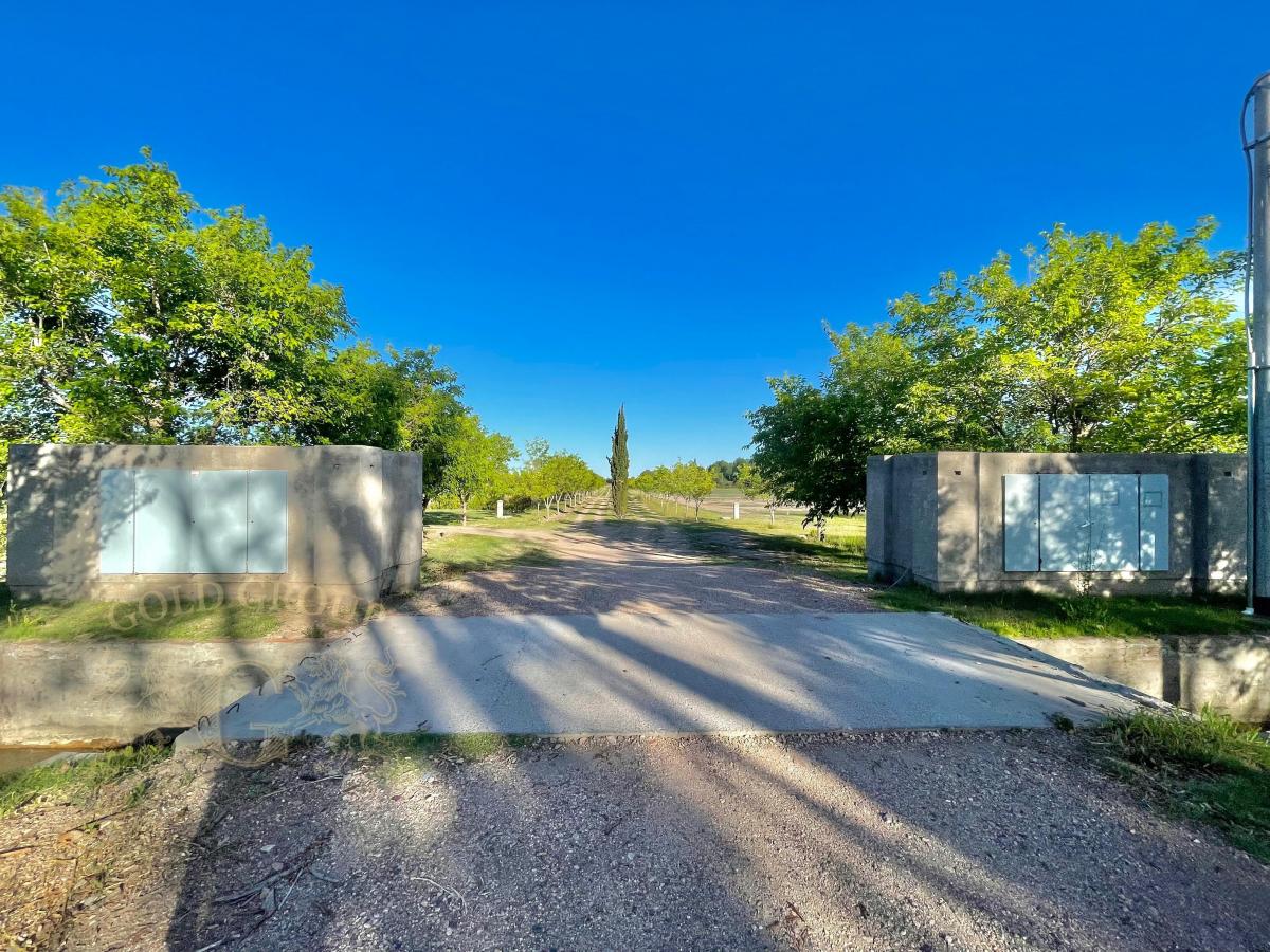 Gold Group Argentina Vende Estupendo Lote / Ejército de Los Andes Al 6500 4