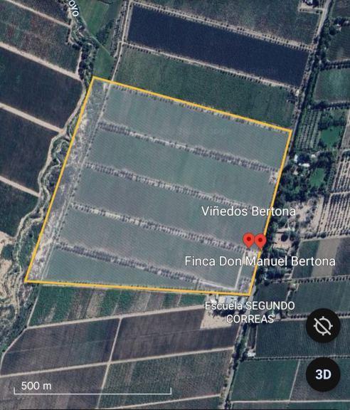 Gold Group Vende Magnífica Finca con Viñedo "Bertona" / La Legua (Ruta 61) S/n 2