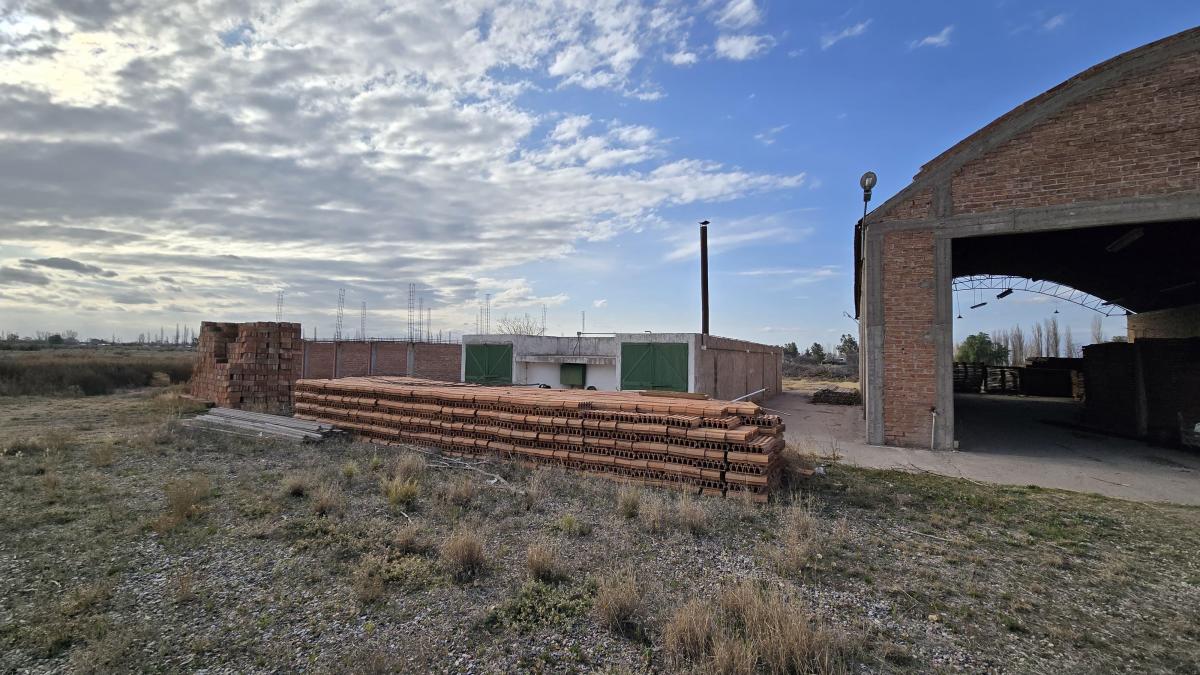 Gran Finca (Extenso Terreno Más Casa con Galpones) / El Cerrito, San Rafael 3