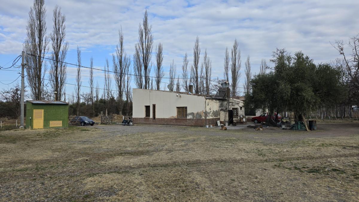 Gran Finca (Extenso Terreno Más Casa con Galpones) / El Cerrito, San Rafael 4
