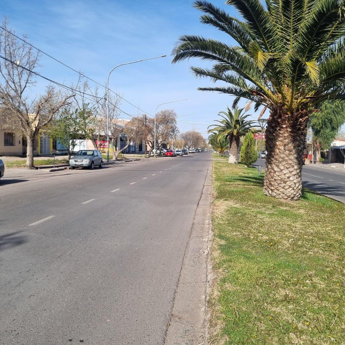 Gold Group Vende Casa (+ Galpones) Av Bartolomé Mitre 1859 / San Rafael Centro 4