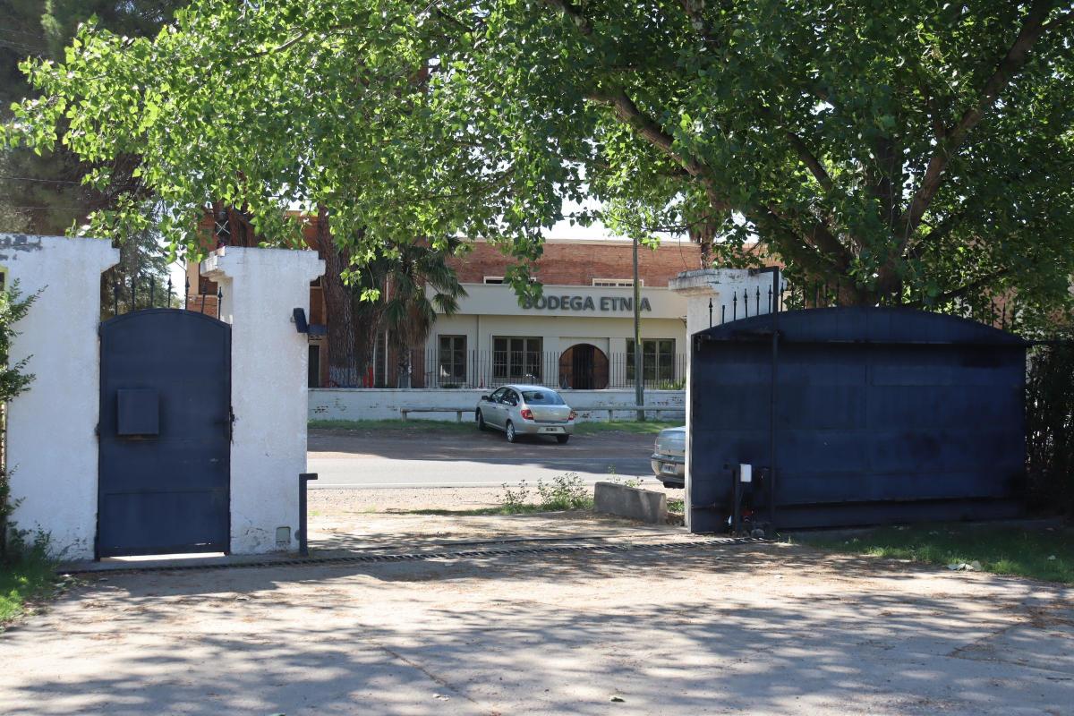 Casona, Ruta 173 / en Venta y en Alquiler Tradicional, Rama Caída (San Rafael). 3