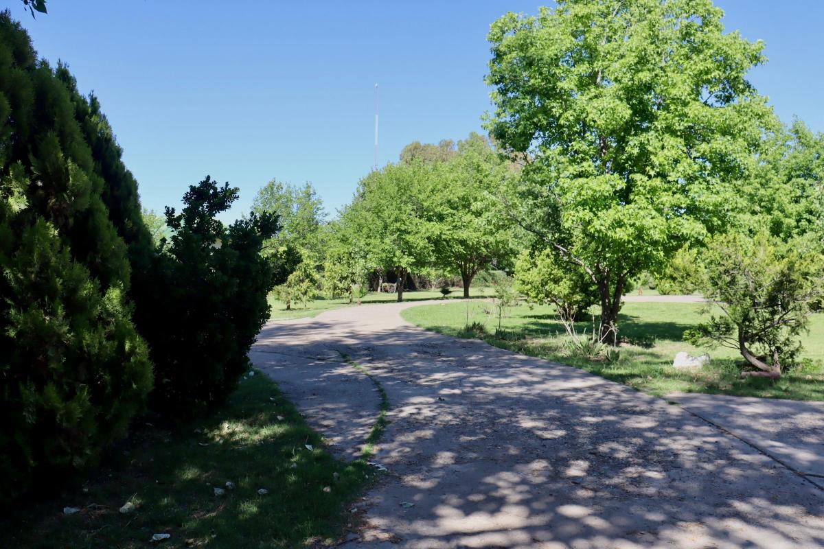 Casona, Ruta 173 / en Venta y en Alquiler Tradicional, Rama Caída (San Rafael). 4