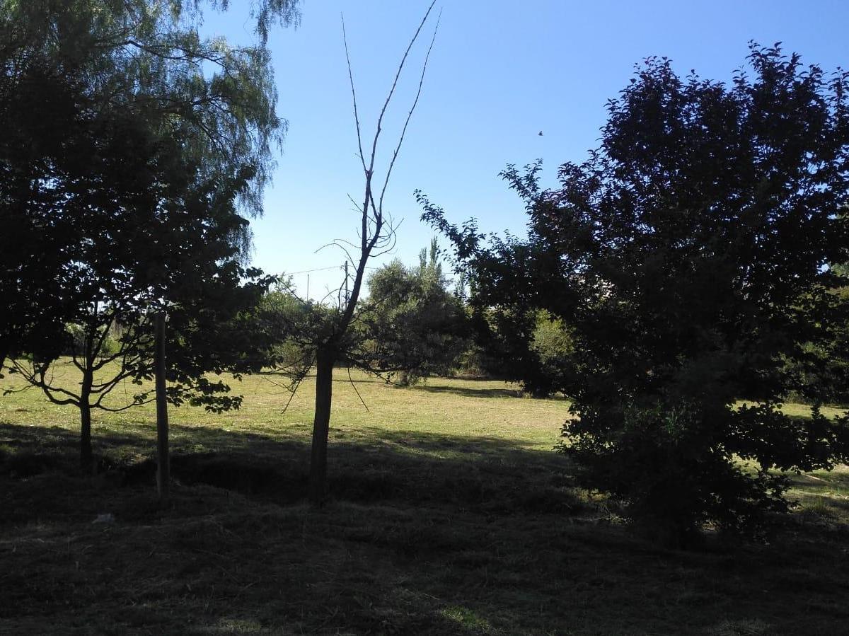 Dinámica Casa en Salto de Las Rosas (Ruta 143 y Babacci / San Rafael). 5