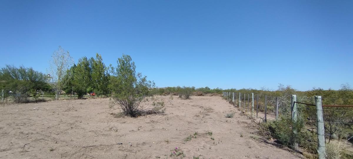Gran Lote en Rama Caída (Cubillos Al 8300), San Rafael 2