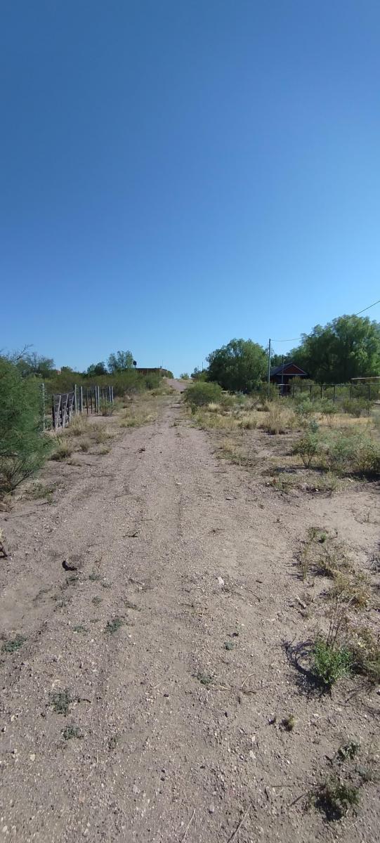 Gran Lote en Rama Caída (Cubillos Al 8300), San Rafael 5