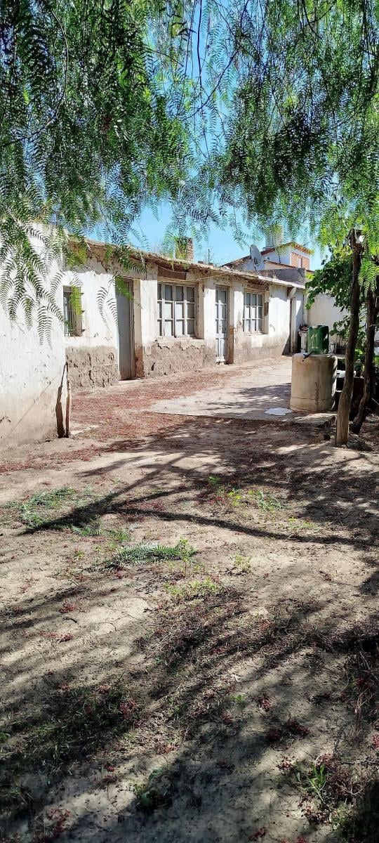 Gran Finca en Venta y en Alquiler (Colonia Colomer, Goudge / San Rafael) 3