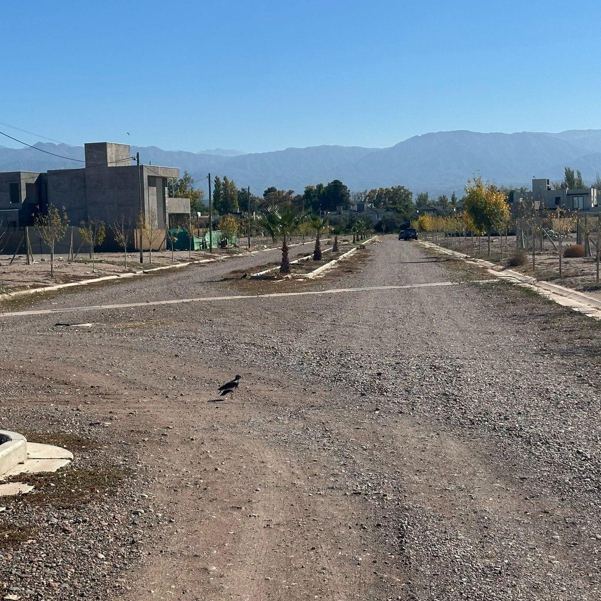 Estupendo Lote, B° Las Cumbres (Dorrego, Guaymallén, Mza) 3
