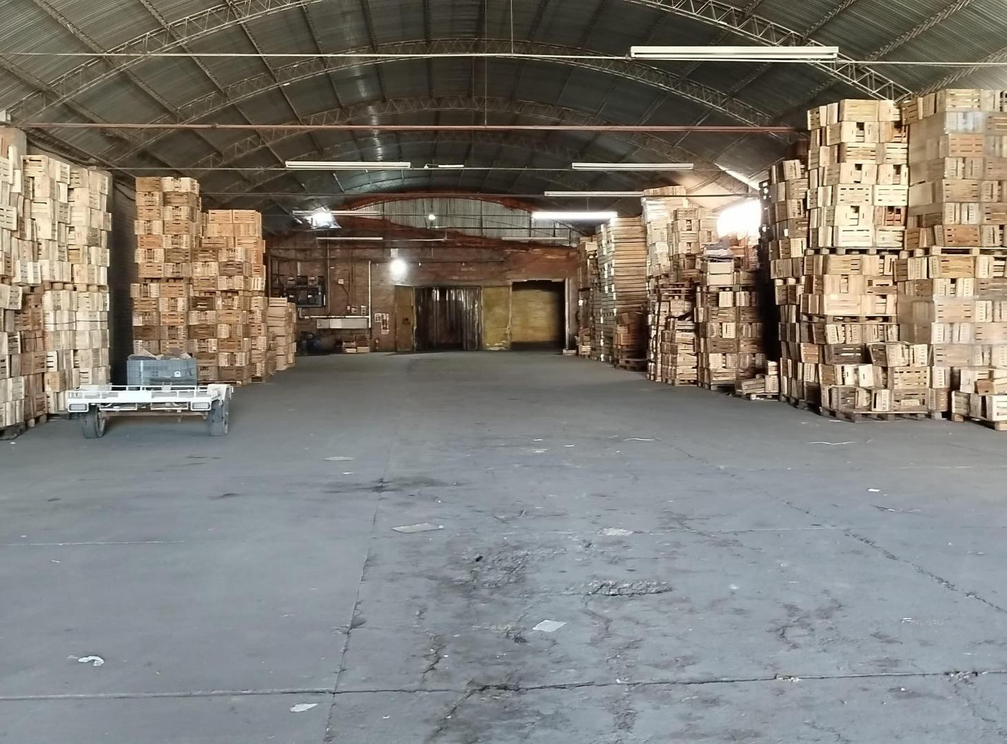 Foto de Empaquetadora / galpones en Goudge, San Rafael, imagen 3