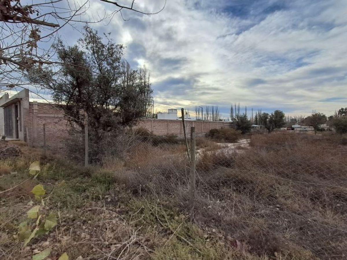 Foto de OPORTUNIDAD: NOTABLE LOTE / Los Aromos N°684, Chacras de Coria, Luján, imagen 4