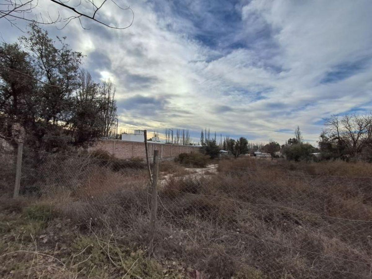 Foto de OPORTUNIDAD: NOTABLE LOTE / Los Aromos N°684, Chacras de Coria, Luján, imagen 3