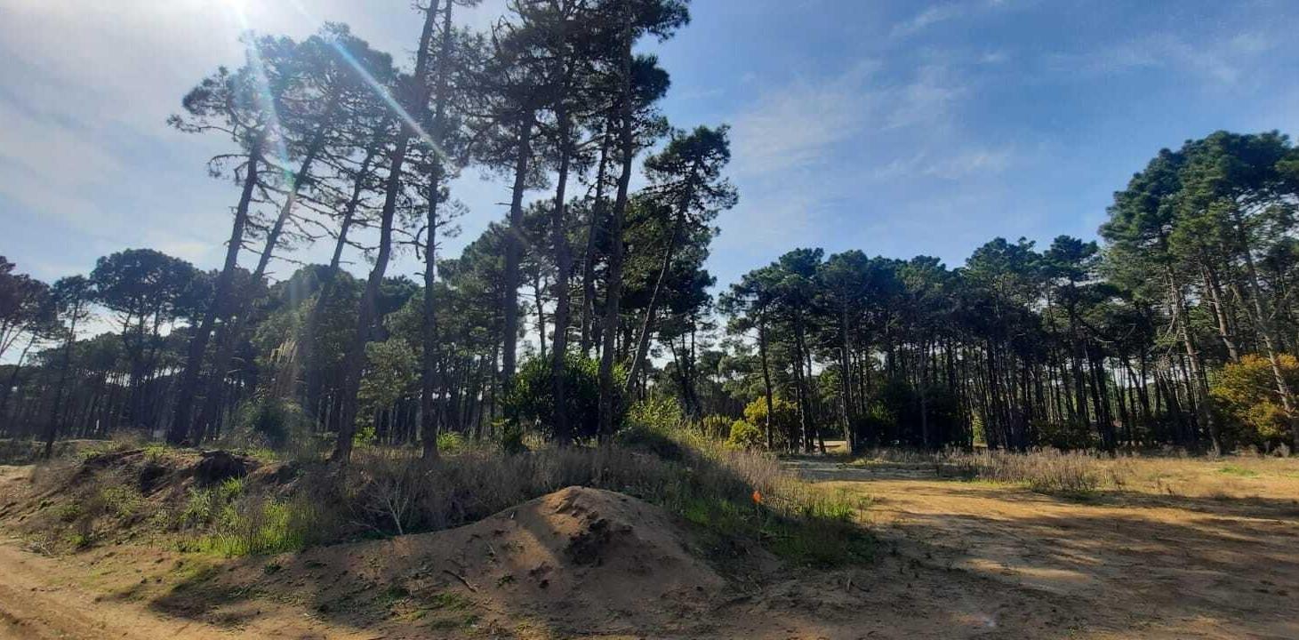 Terreno Lote en Venta en Pinamar Norte, Pinamar, Costa Atlántica