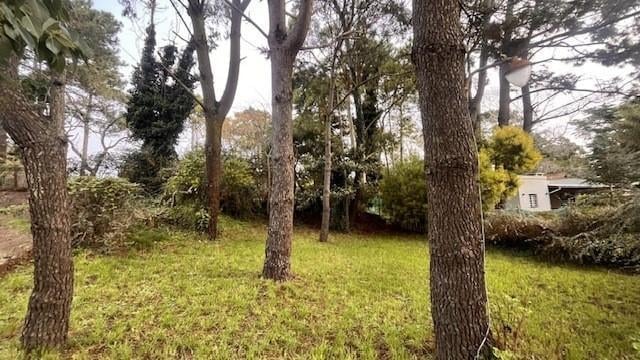Foto de Casa Chalet en Venta en Valeria Del Mar, Pinamar, Costa Atlántica, imagen 2