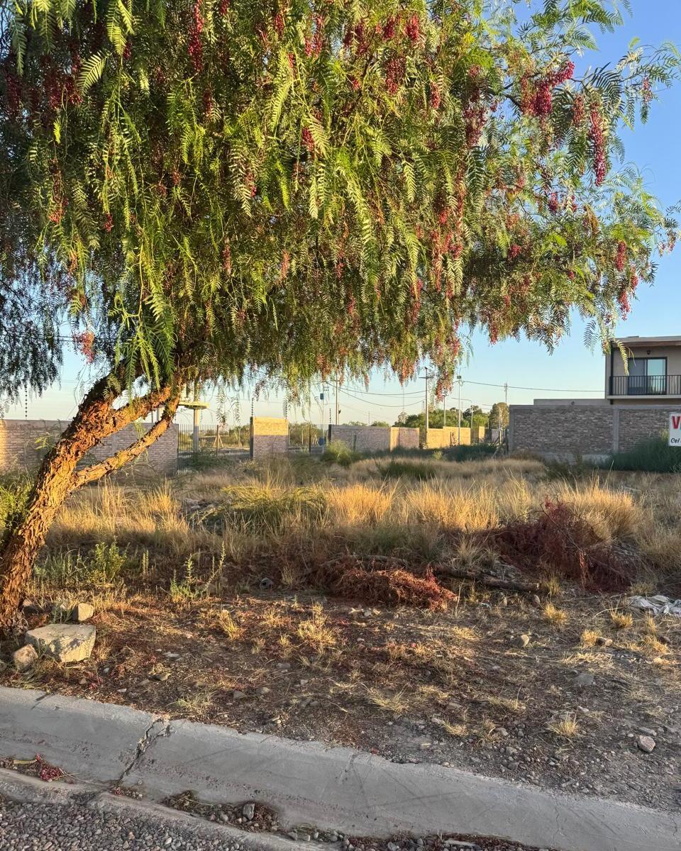 Lote en Venta en El Challao 2