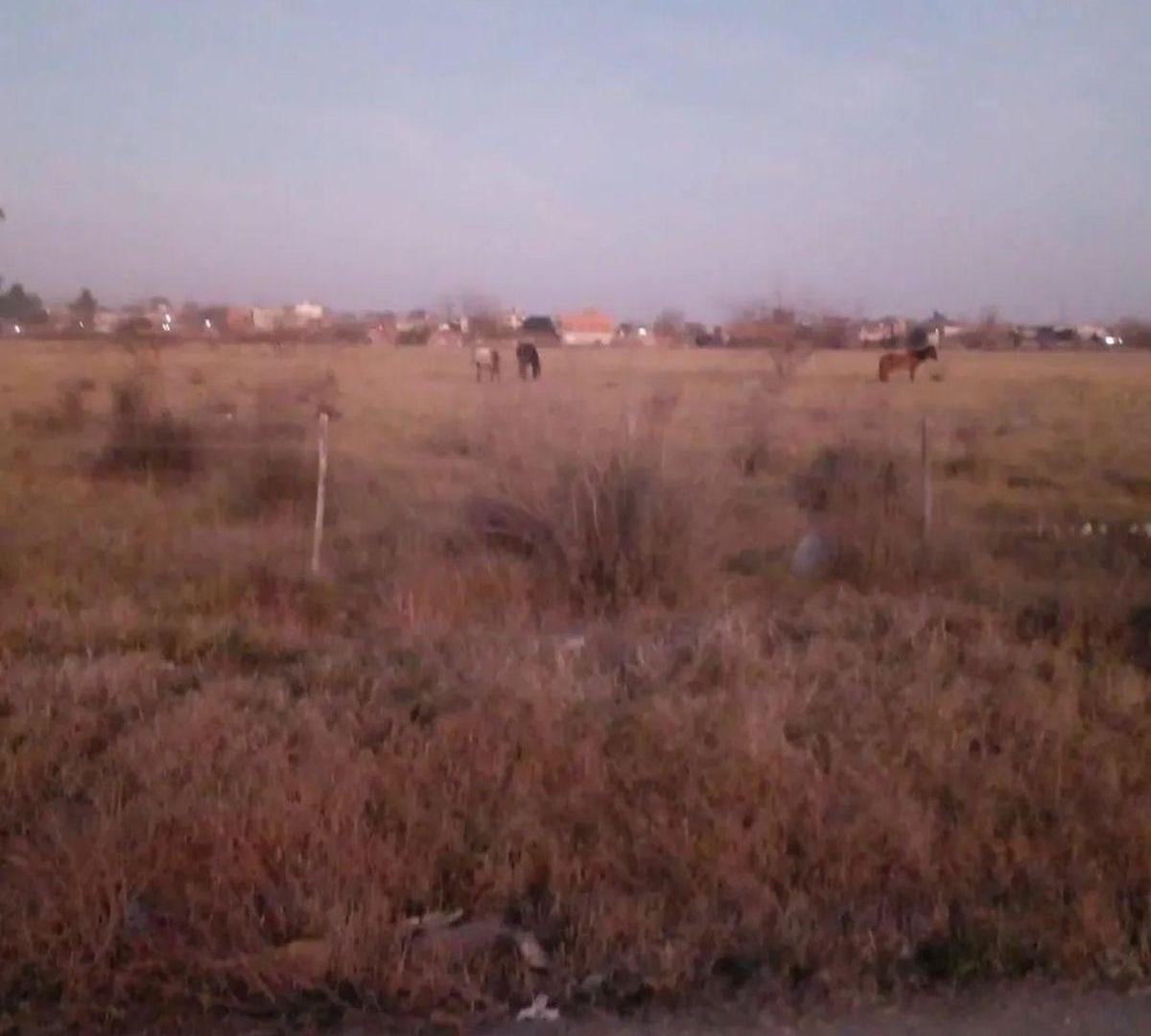 DOS TERRENOS EN VENTA