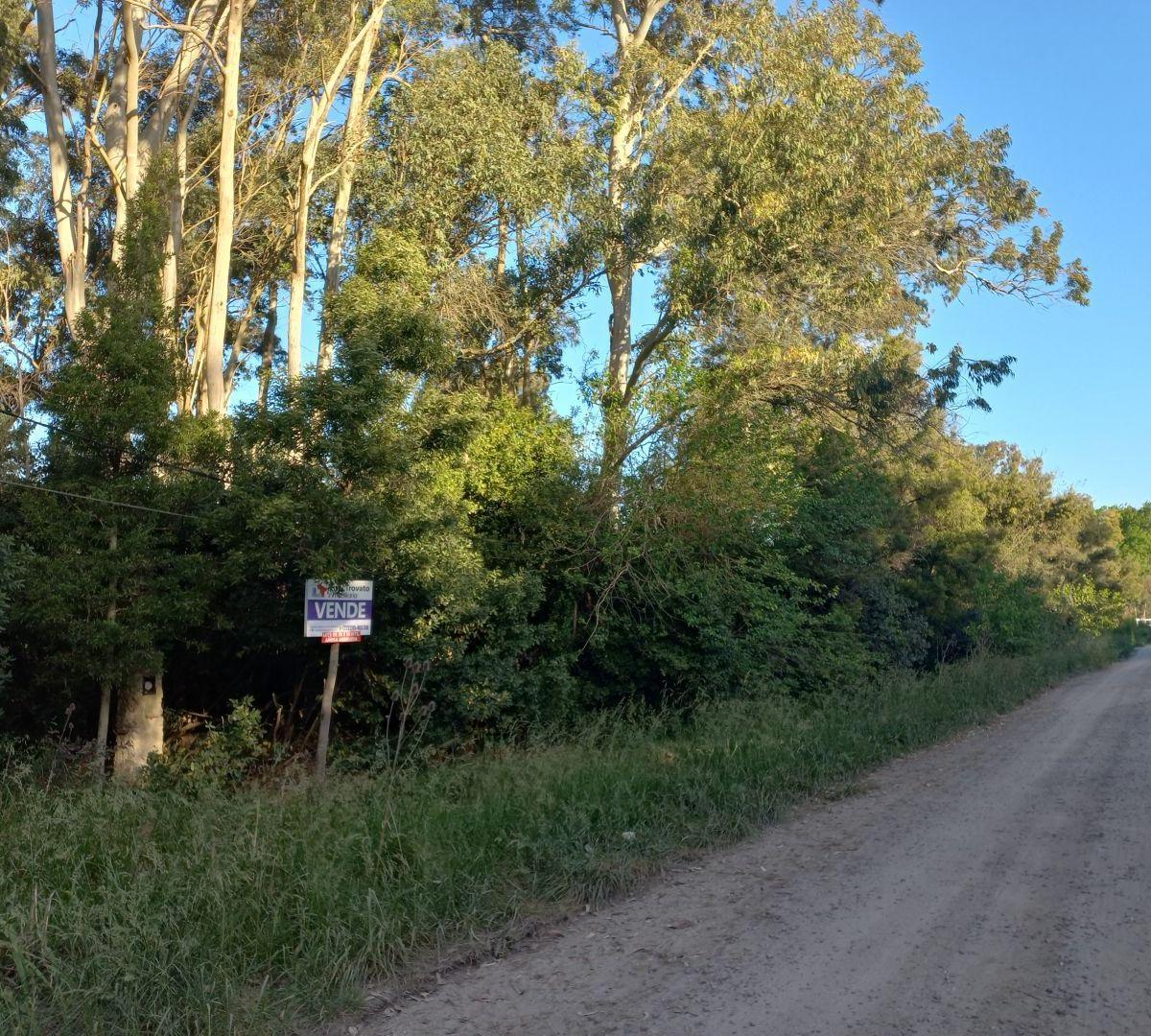 Foto de Lote de 30x50, imagen 3