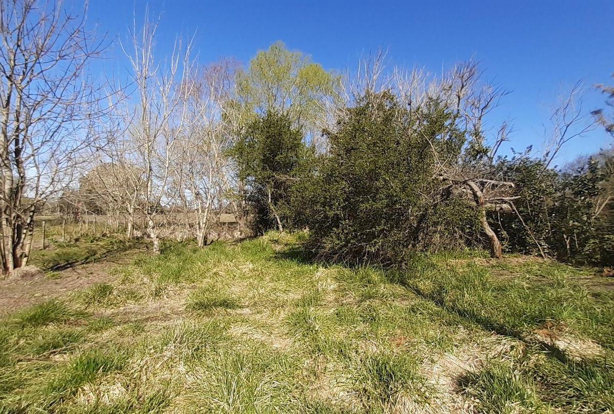 Lote en Punta Indio 3