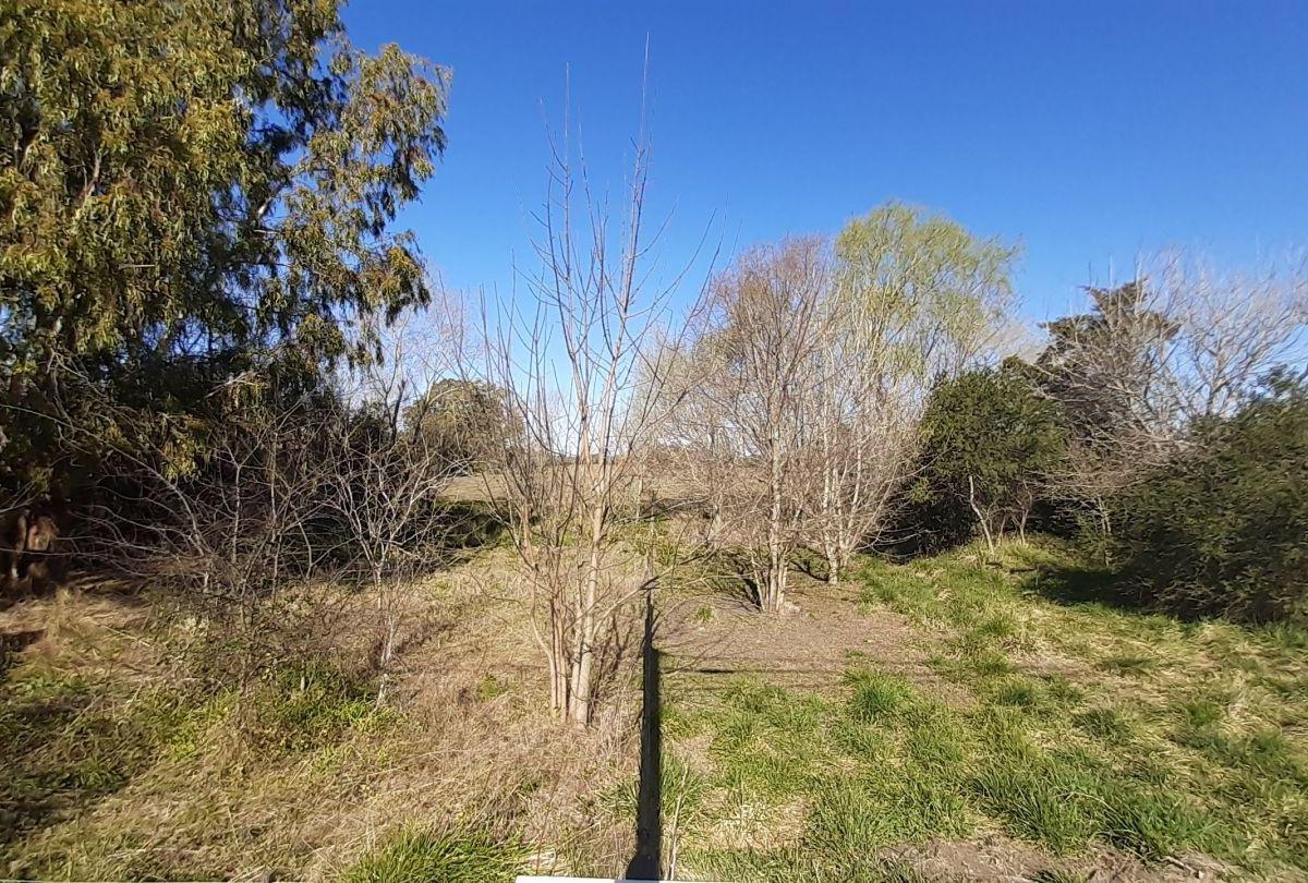 Lote en Punta Indio 1