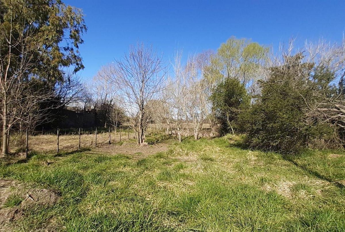 Lote en Punta Indio 4