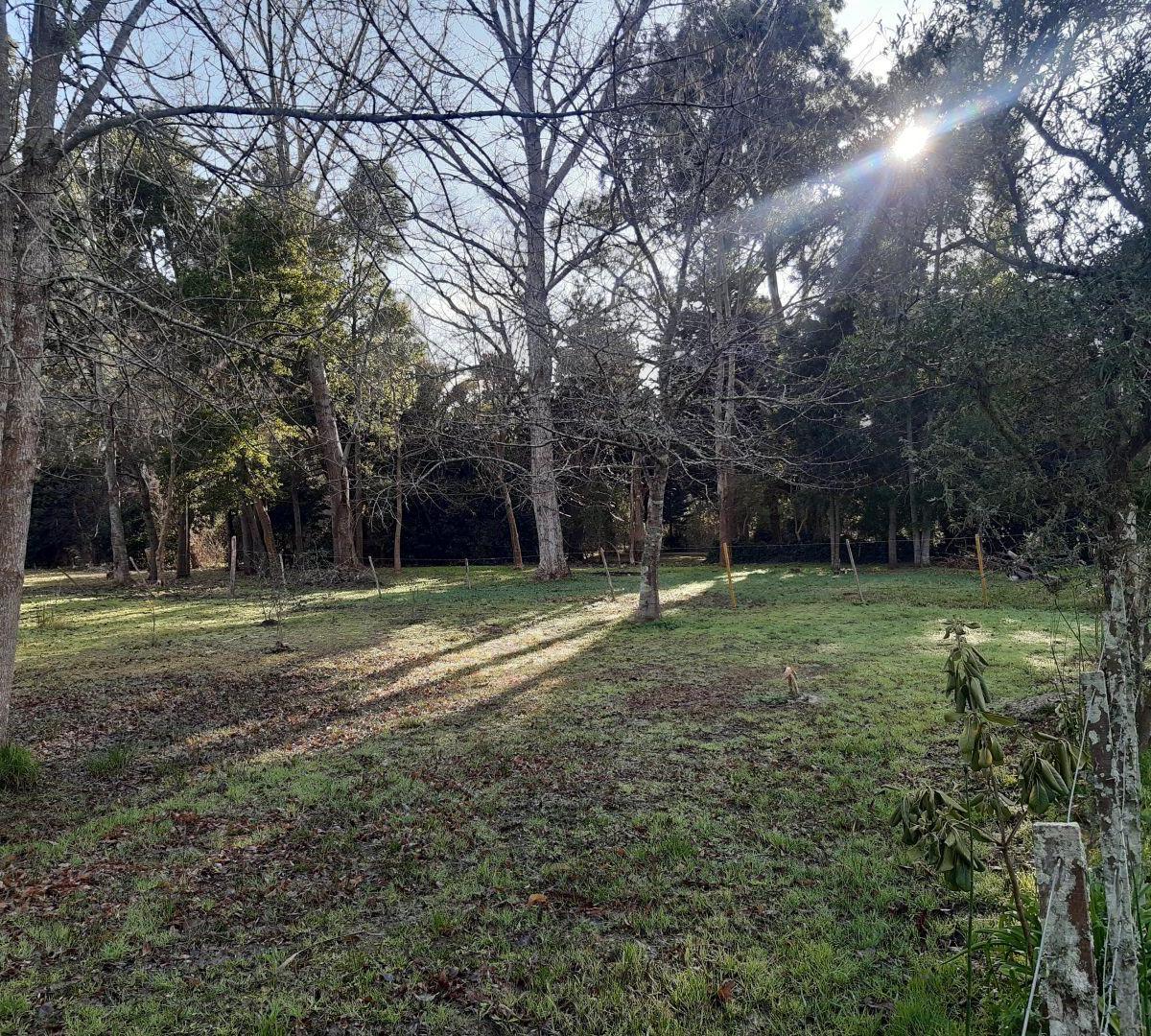 Lote en Punta Indio, 20x100. Escritura 4