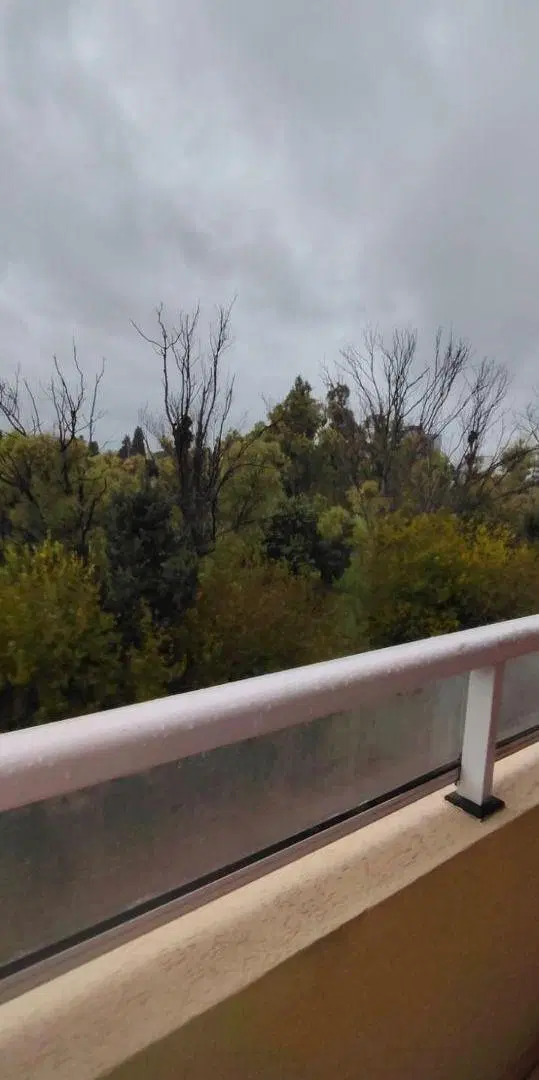 37 E/ 24 y 25-Depto de 1 dormitorio amoblado con vista al Parque Alberti 2