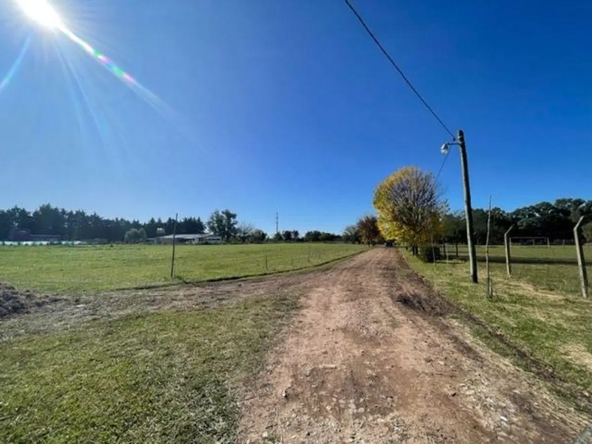 Venta de lotes en calle 167 y 75 - Los Hornos 2