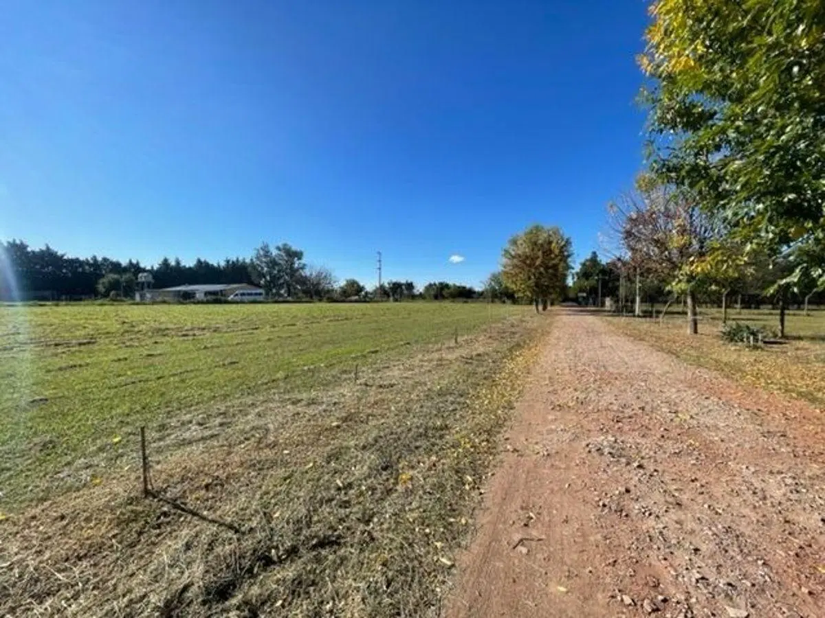 Venta de lotes en calle 167 y 75 - Los Hornos 1