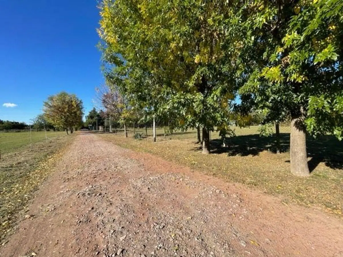 Venta de lotes en calle 167 y 75 - Los Hornos 5