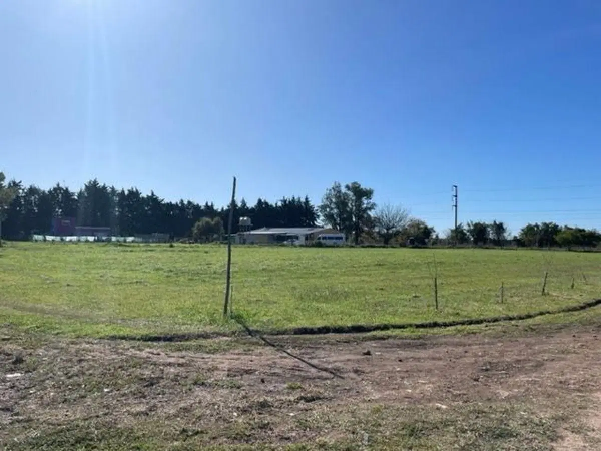 Venta de lotes en calle 167 y 75 - Los Hornos 4