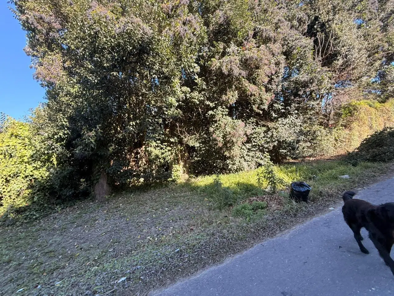 Terreno en venta 5