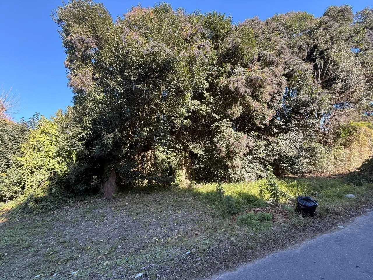Terreno en venta 1