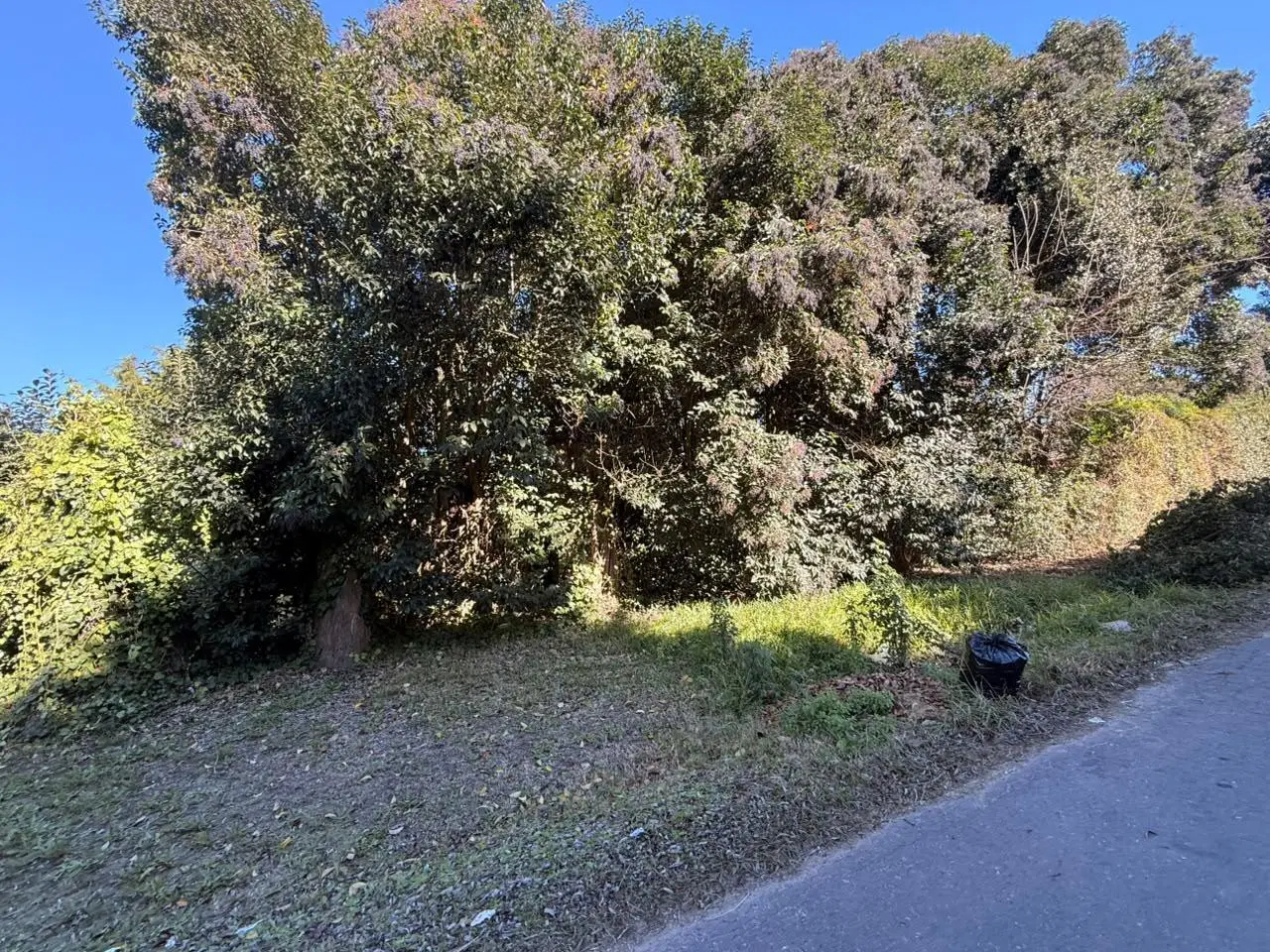 Terreno en venta 4