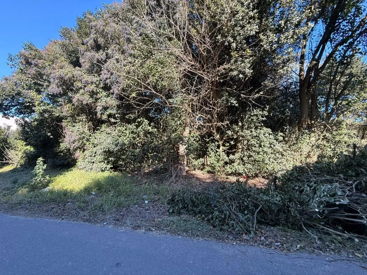 Terreno en venta 6