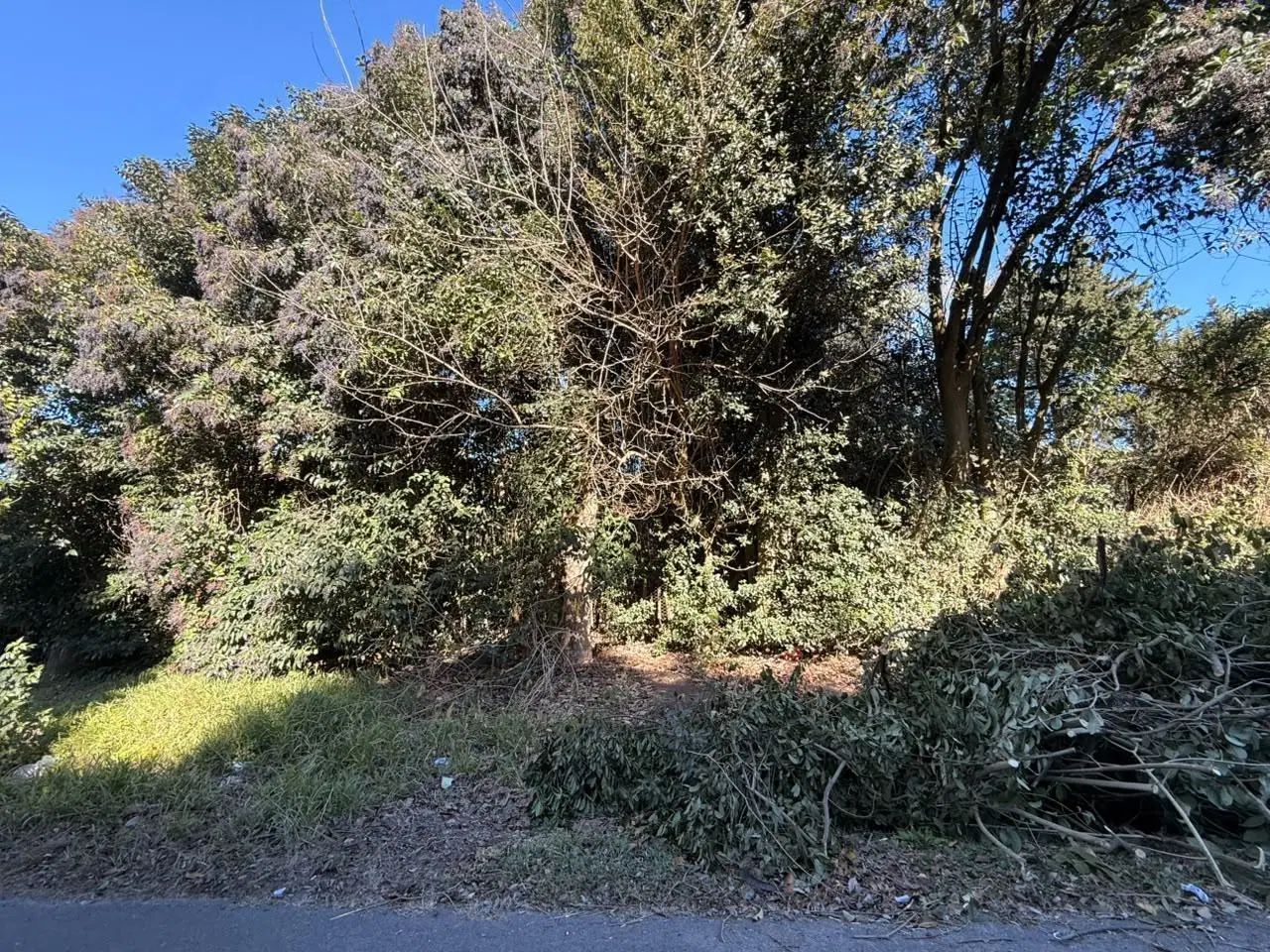Terreno en venta 2