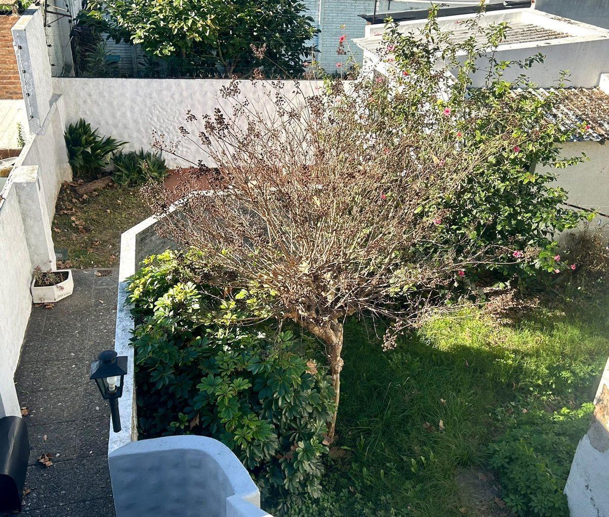 Venta PH 6 Amb Quilmes C/terraza y Jardín 4