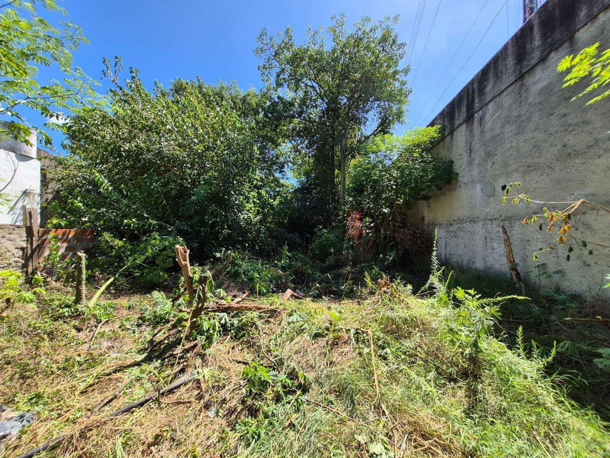 VENTA LOTE DE 10x29 - 290 m2 - VILLA DOMINICO