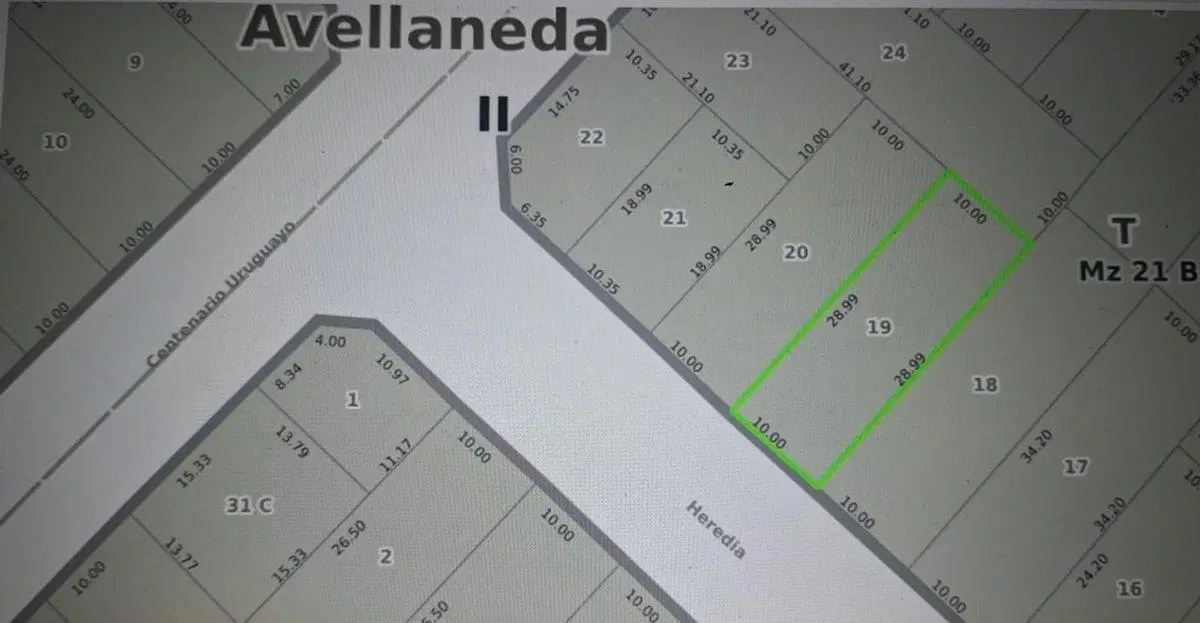 VENTA LOTE DE 10x29 - 290 m2 - VILLA DOMINICO 3