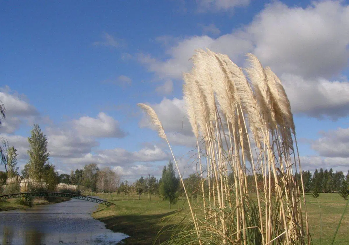 VENTA LOTE BRANDSEN POSADA DE LOS LAGOS 3