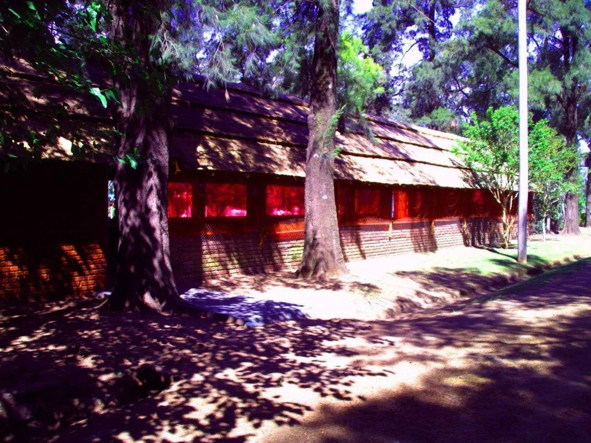 VENTA QUINTA IDEAL COLONIA/MULTIESPACIO- RETASADO 3
