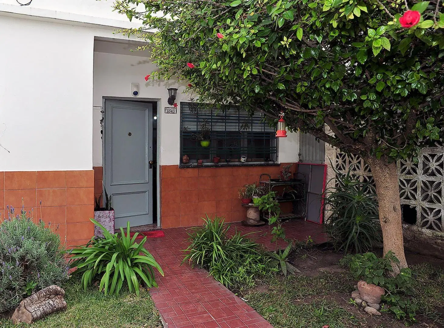 VENTA CASA CON FONDO JARDIN Y COCHERA BERAZATEGUI 5