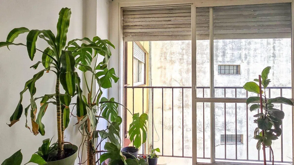 Venta DEPARTAMENTO 2 AMBIENTES con Renta - FLORES 8