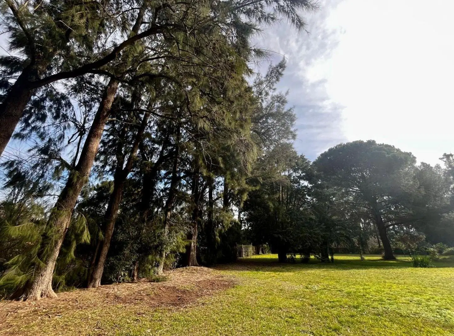 VENTA QUINTA 8066M2 C/ARBOLEDA HISTÓRICA, EL PAT0 4