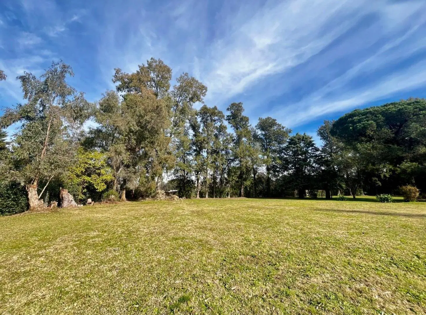 VENTA QUINTA 8066M2 C/ARBOLEDA HISTÓRICA, EL PAT0 8
