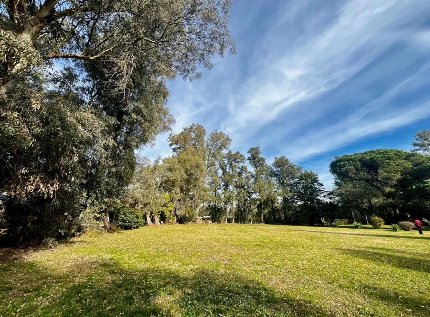 VENTA QUINTA 8066M2 C/ARBOLEDA HISTÓRICA, EL PAT0 2