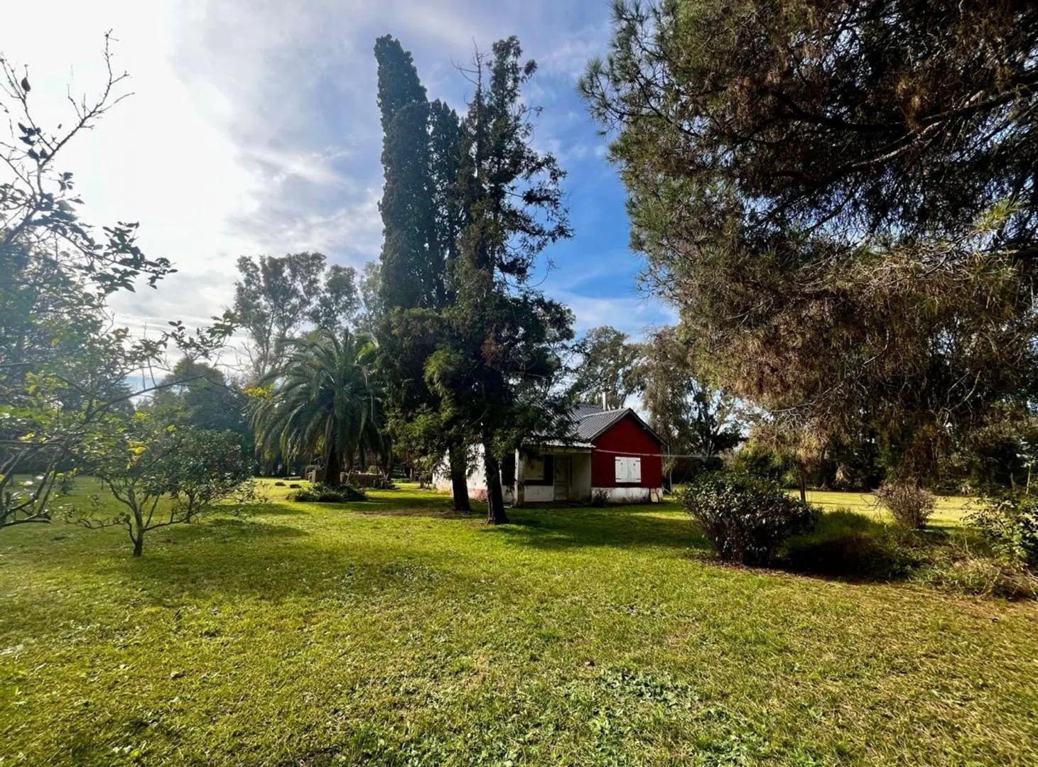 VENTA QUINTA 8066M2 C/ARBOLEDA HISTÓRICA, EL PAT0 3